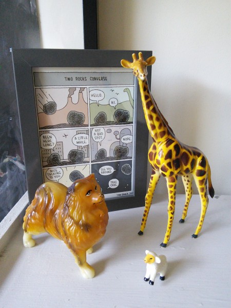 giraffe at animal zoo