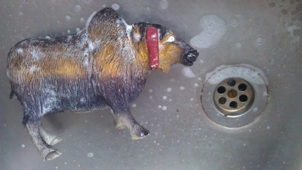 plastic buffalo kitsch