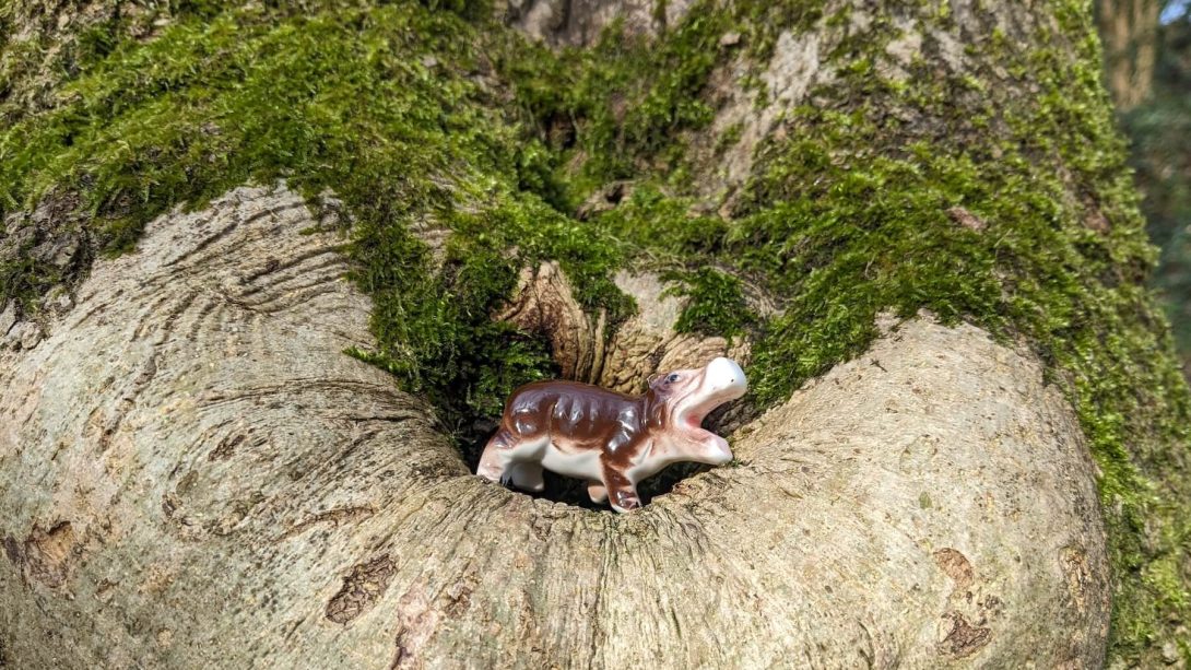 small ceramic hippo in tree knot